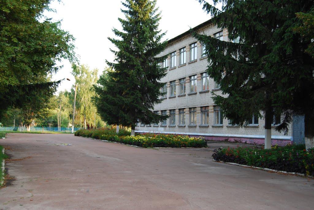Вороньків з panoramio.com - Вороньків