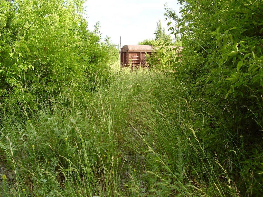 Попасна з panoramio.com - Попасная