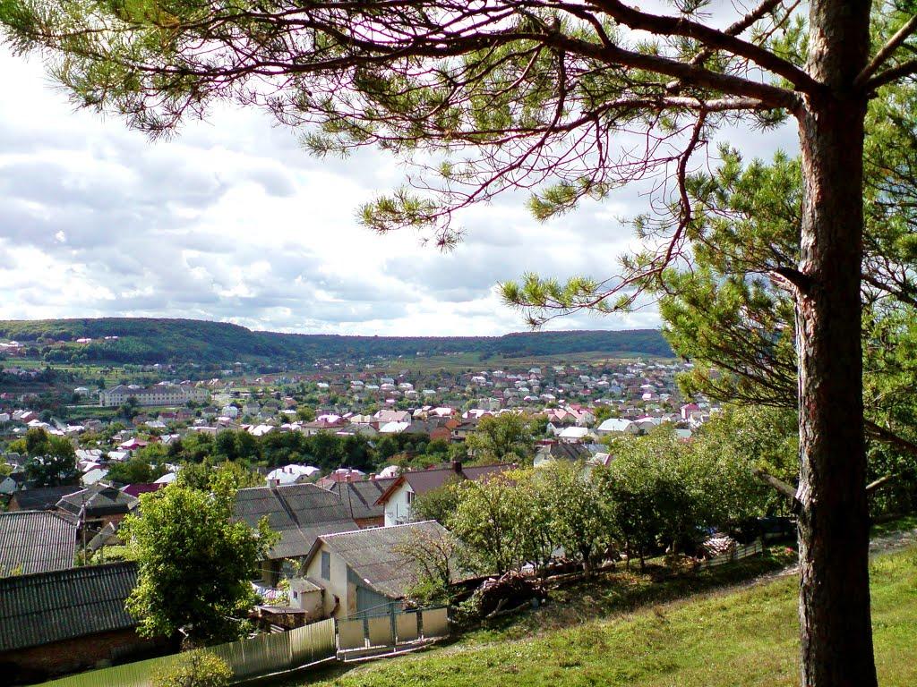 Бережани з panoramio.com - Бережаны
