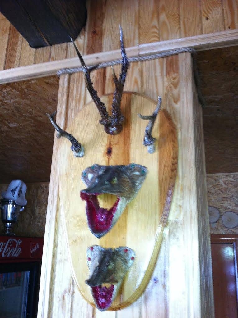 Жубровичі з panoramio.com - Жубровичі