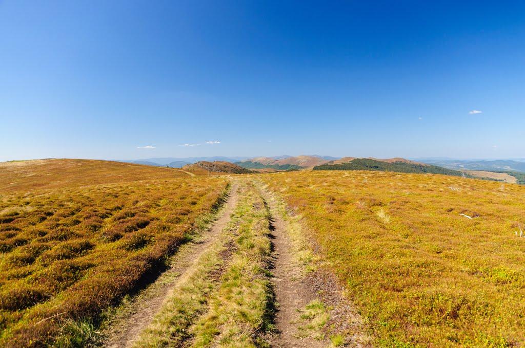 Щербовець з panoramio.com - Щербовец