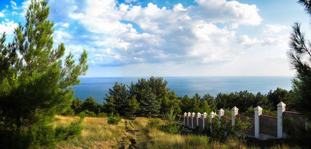 Олива з panoramio.com - Olyva