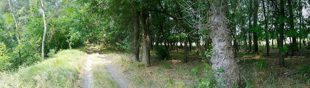 Говтва з panoramio.com - Говтва