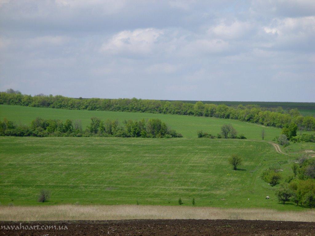 Авдіївка з panoramio.com (ч.2) - Авдеевка