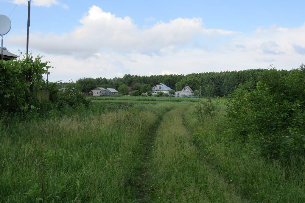 Софіївка з panoramio.com - Софиевка