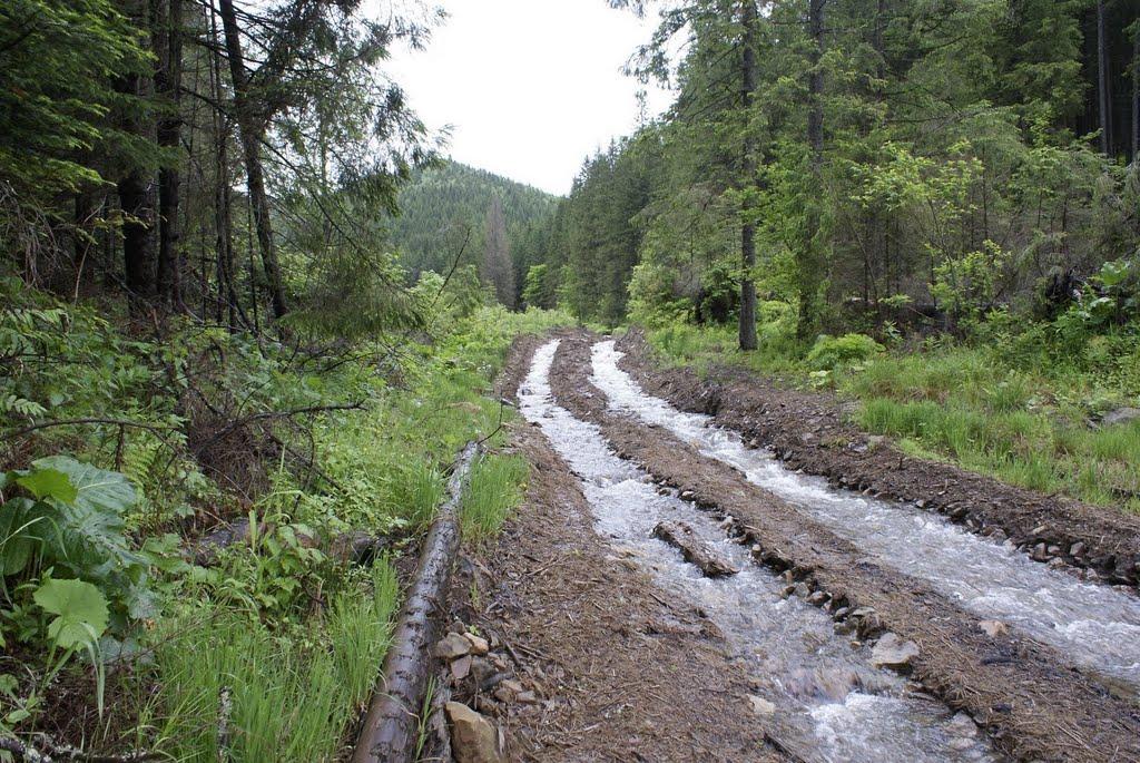 Осмолода з panoramio.com (ч.2) - Осмолода