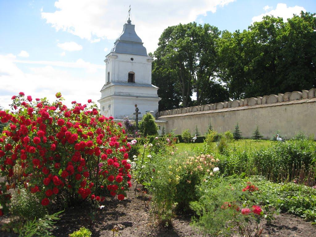 Межиріч з panoramio.com - Межиріч