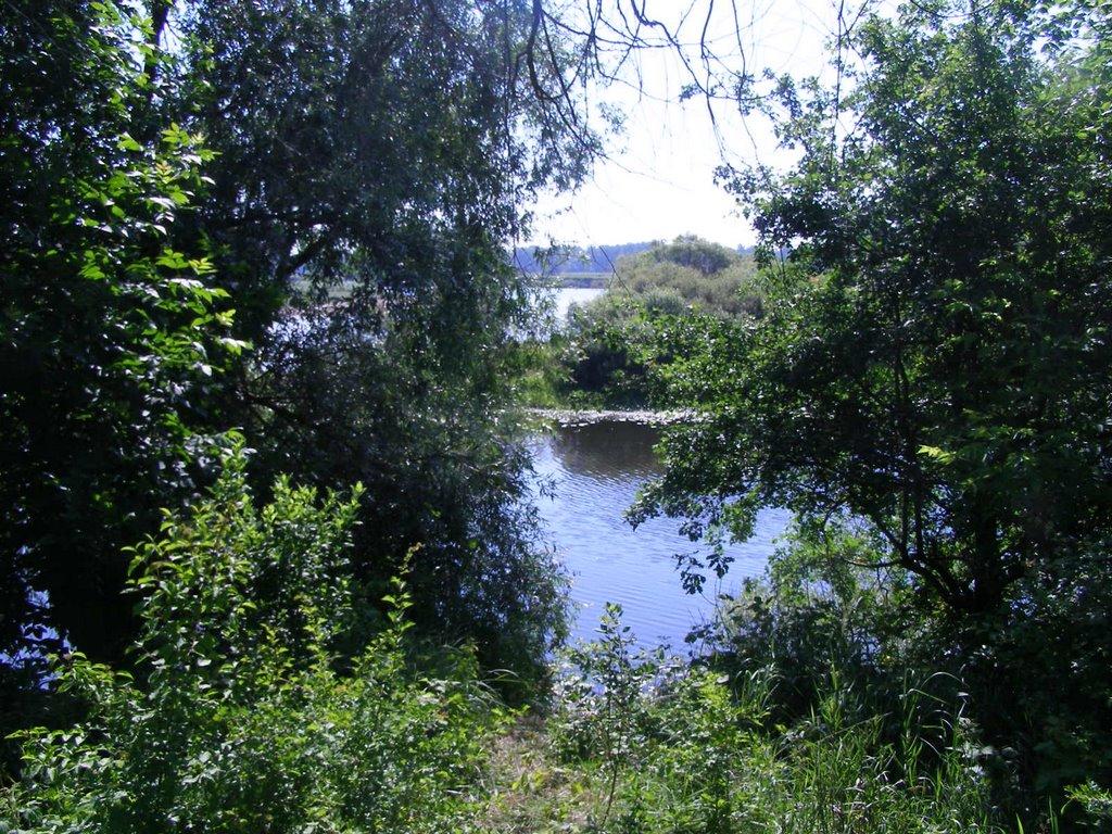 Киселівка з panoramio.com - Киселівка