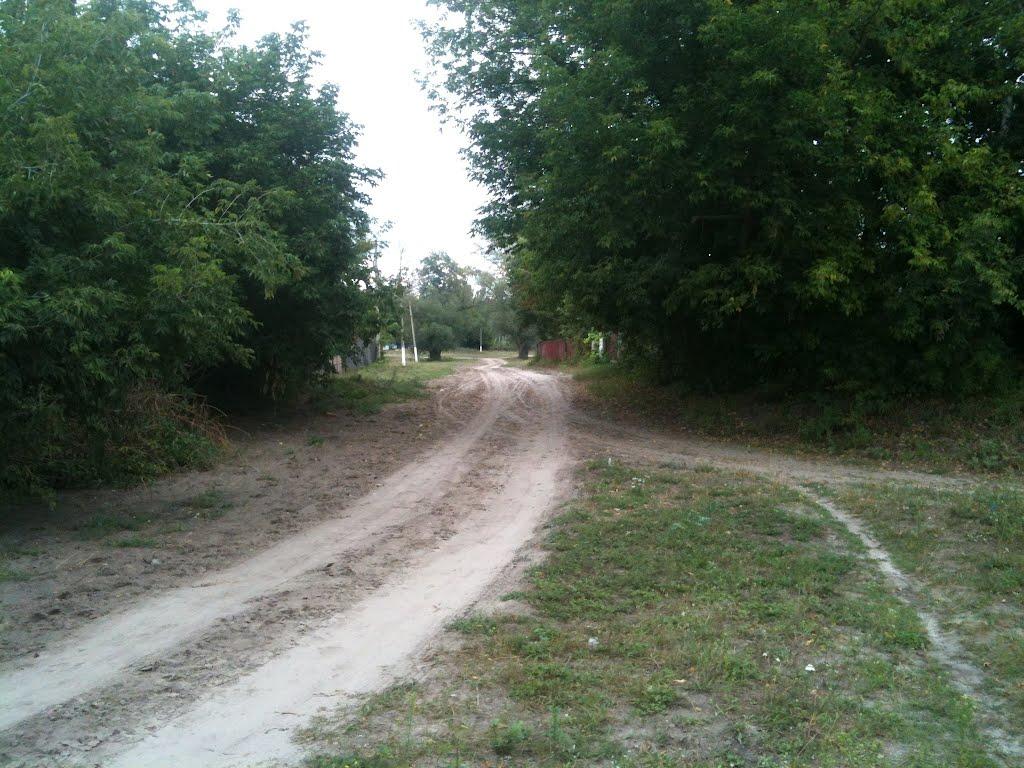 Любитове з panoramio.com - Любитово