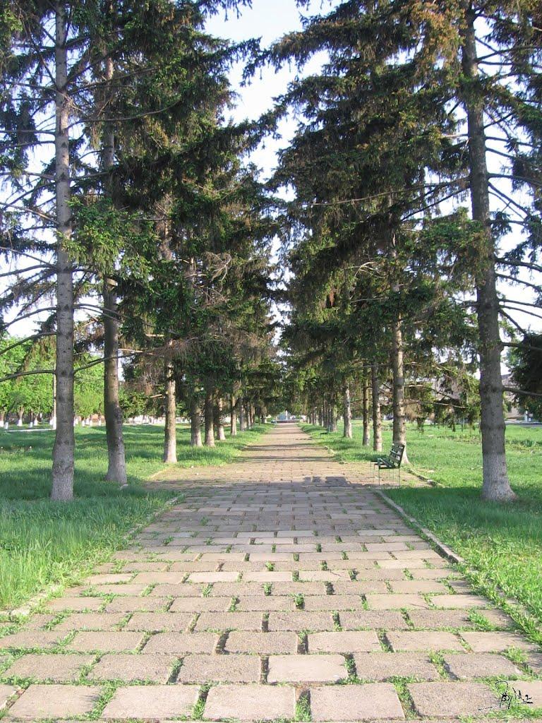 Арбузинка з panoramio.com - Арбузинка