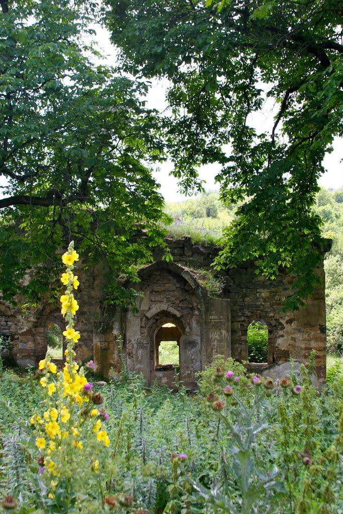 Багате з panoramio.com - Багате