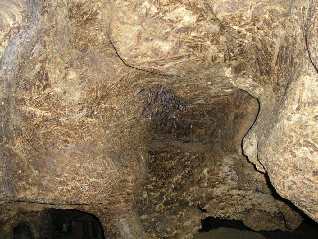 Кривче з panoramio.com - Кривче