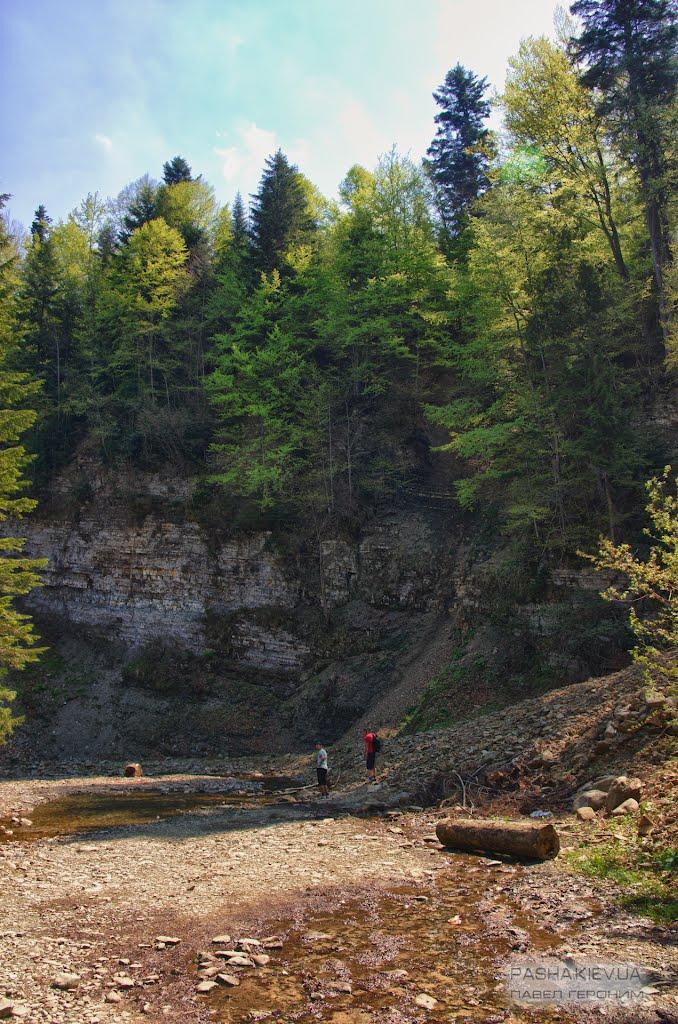 Кричка з panoramio.com - Кричка