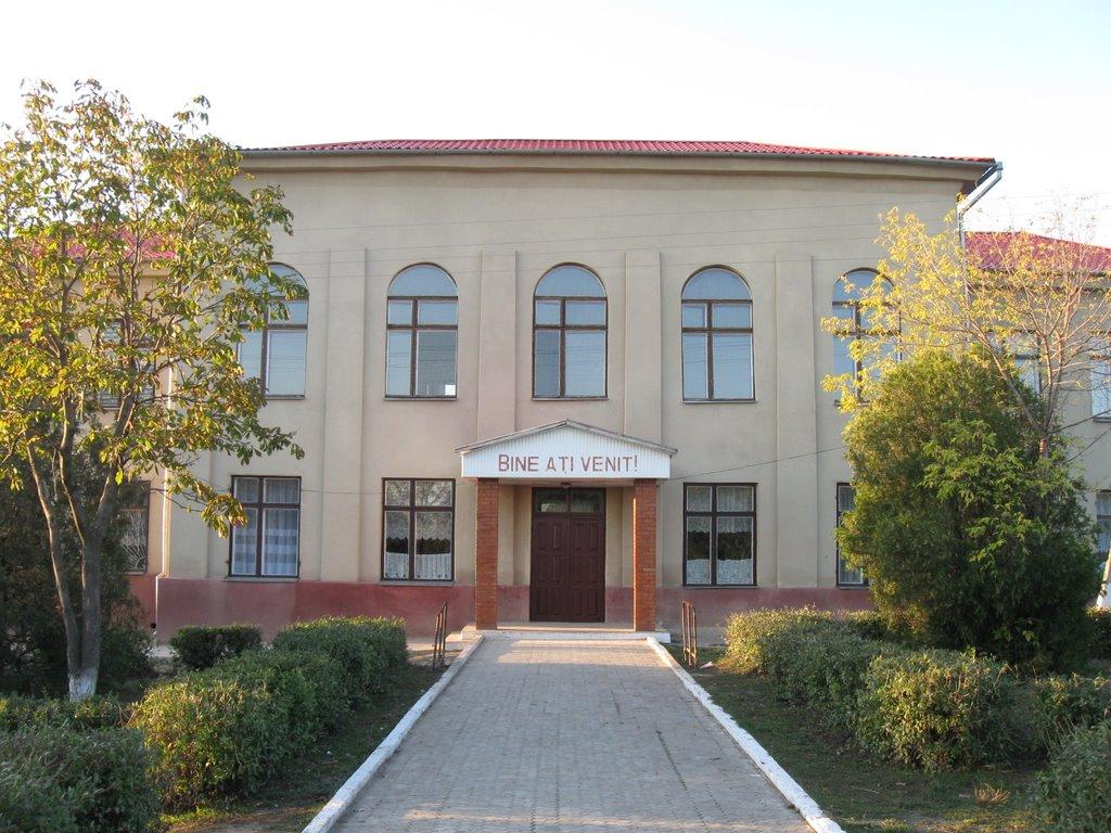 Петрівка з panoramio.com - Петровка