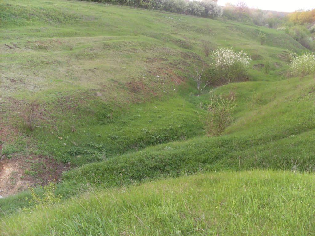 Роздільна з panoramio.com - Раздельная