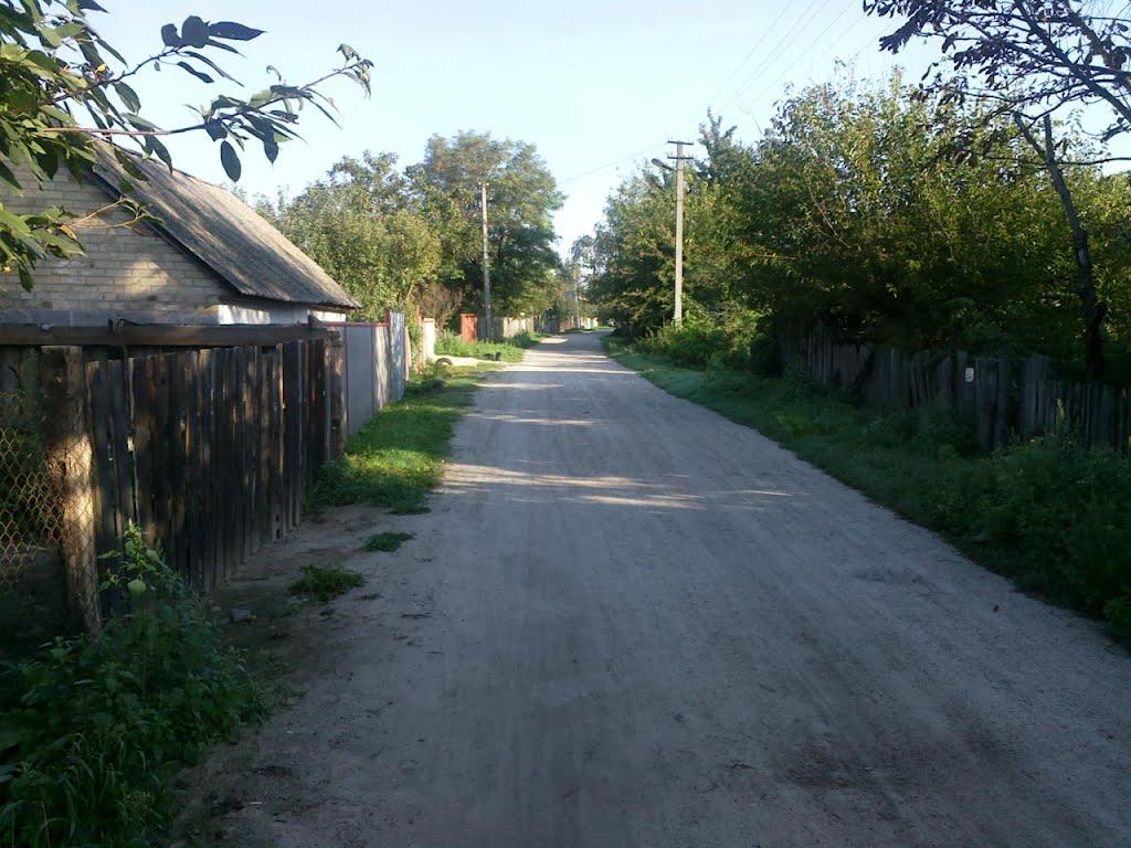 Вороньків з panoramio.com - Воронков