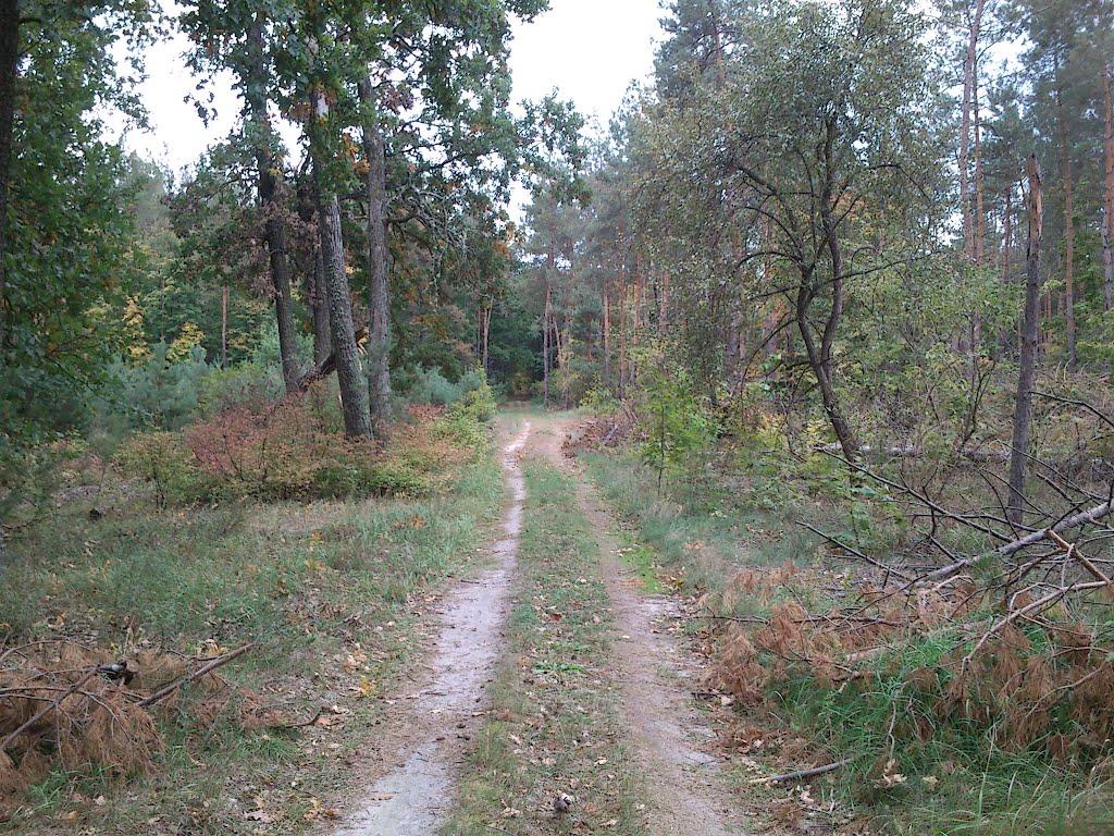 Саварка з panoramio.com - Саварка