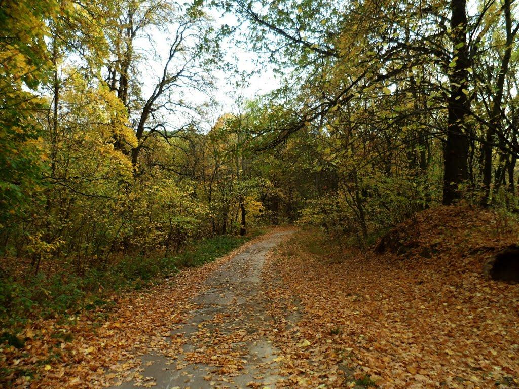 Путивль з panoramio.com - Путивль