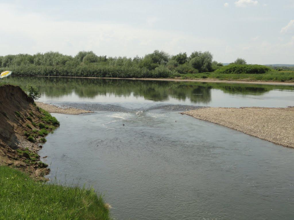 Тенетники з panoramio.com - Тенетники