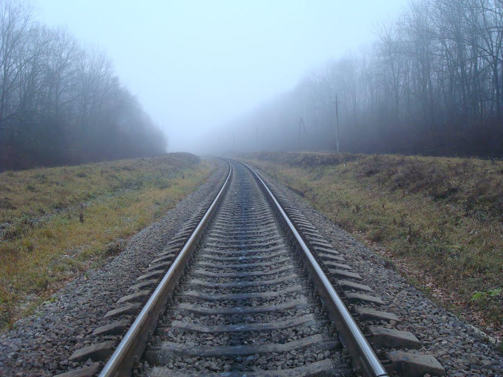 Соколівка з panoramio.com - Соколівка