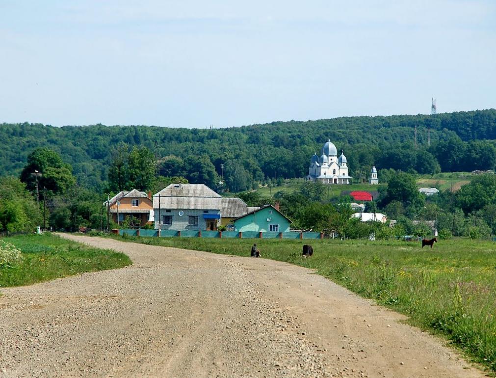 Буковина з panoramio.com - Буковина
