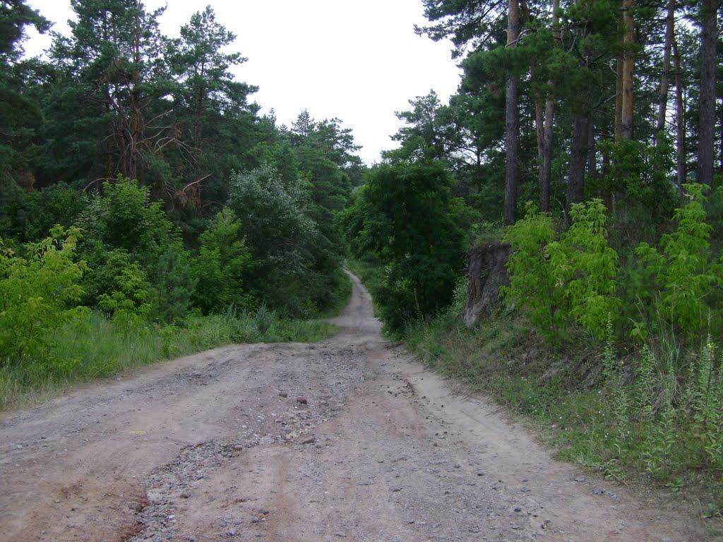 Циблі з panoramio.com - Tsybli
