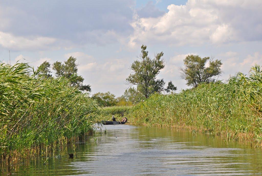 Кізомис з panoramio.com - Kizomys