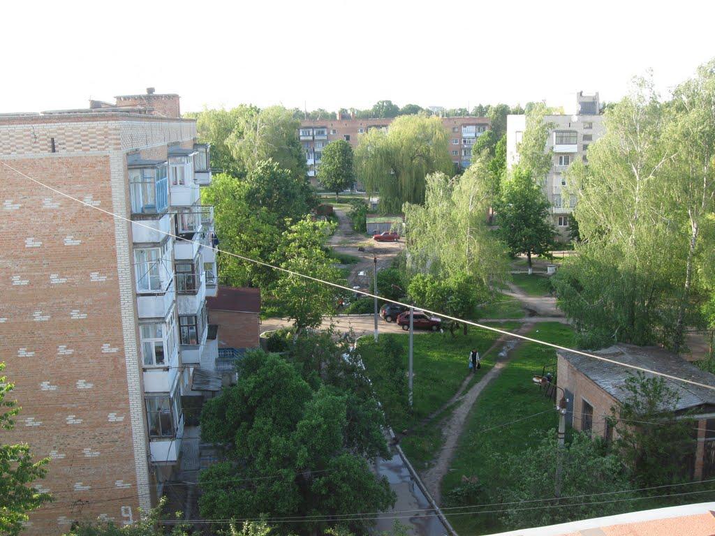 Калинівка з panoramio.com - Калинівка