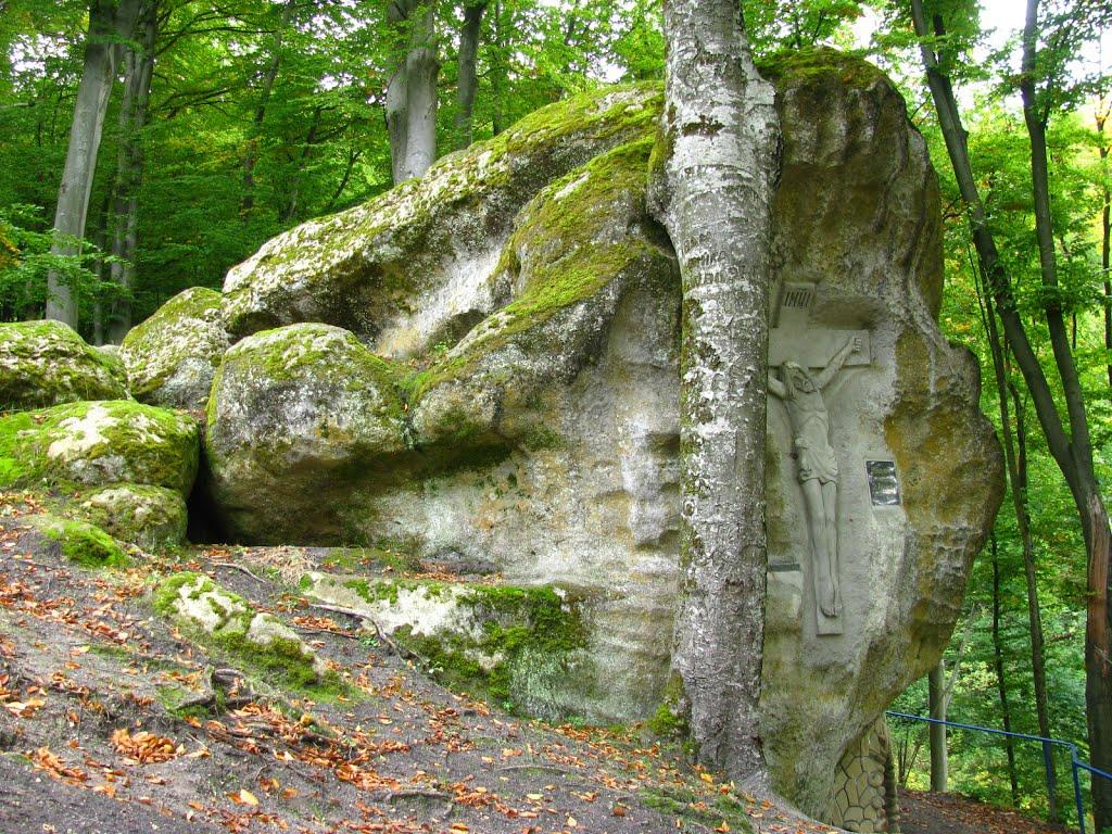 Лісники з panoramio.com - Lisnyky