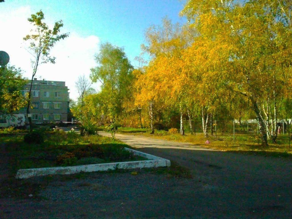 Мар'їнка з panoramio.com - Maryinka