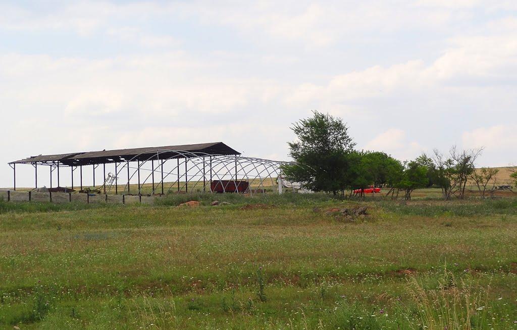 Новобахмутівка з panoramio.com - Новобахмутовка