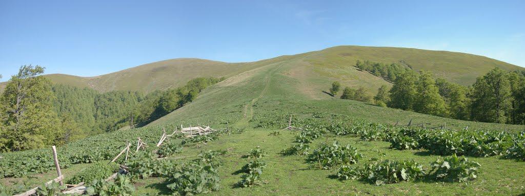 Красна з panoramio.com - Krasna