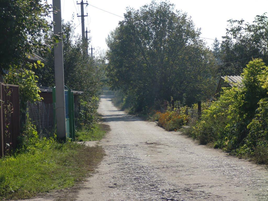 Шершенці з panoramio.com - Шершенці