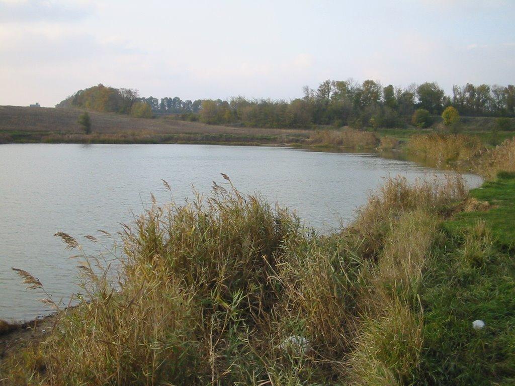 Любашівка з panoramio.com - Любашевка