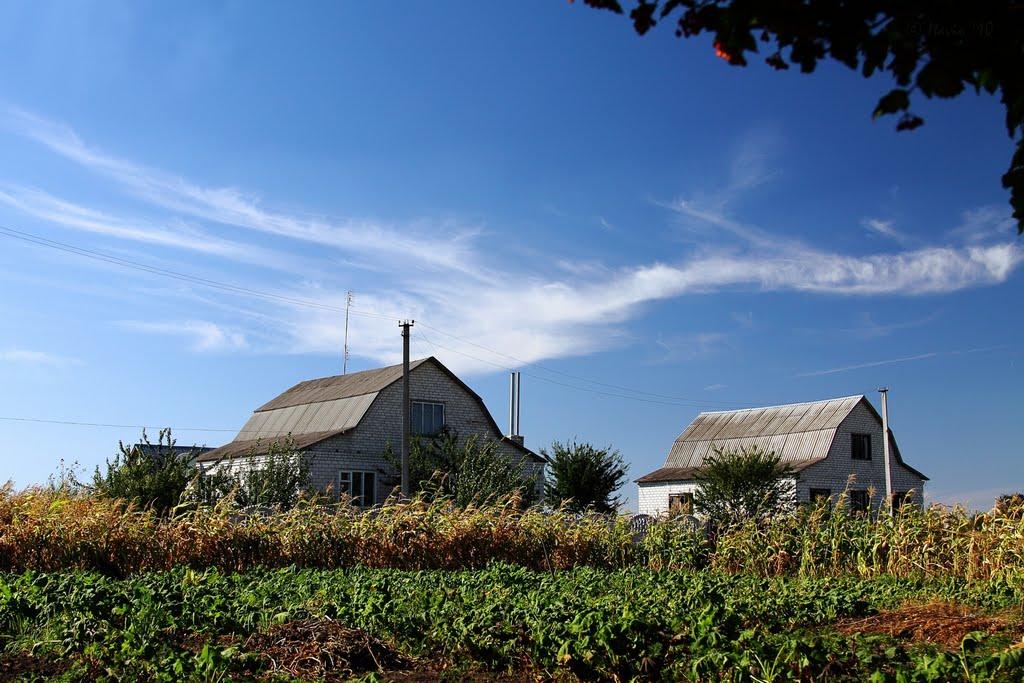 Андрушівка з panoramio.com - Andrushivka