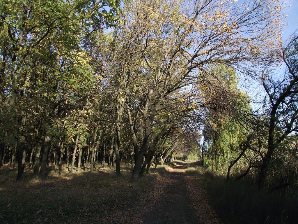 Кремінець з panoramio.com - Kreminets