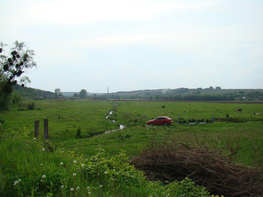 Кузьминці з panoramio.com - Кузьминці