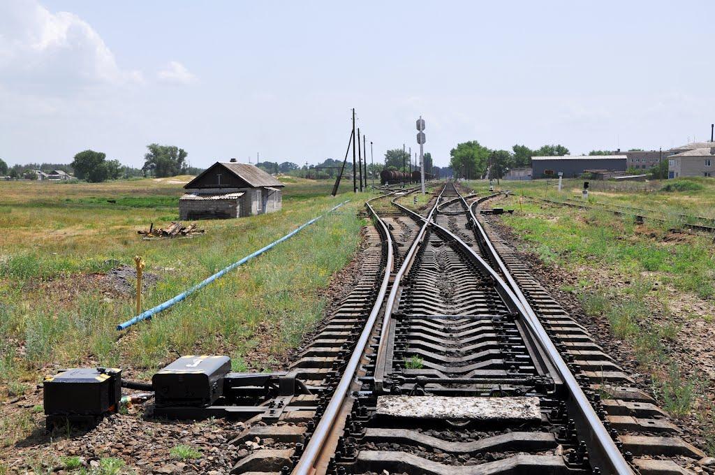 Станично-Луганське з panoramio.com (ч.2) - Станично-Луганское