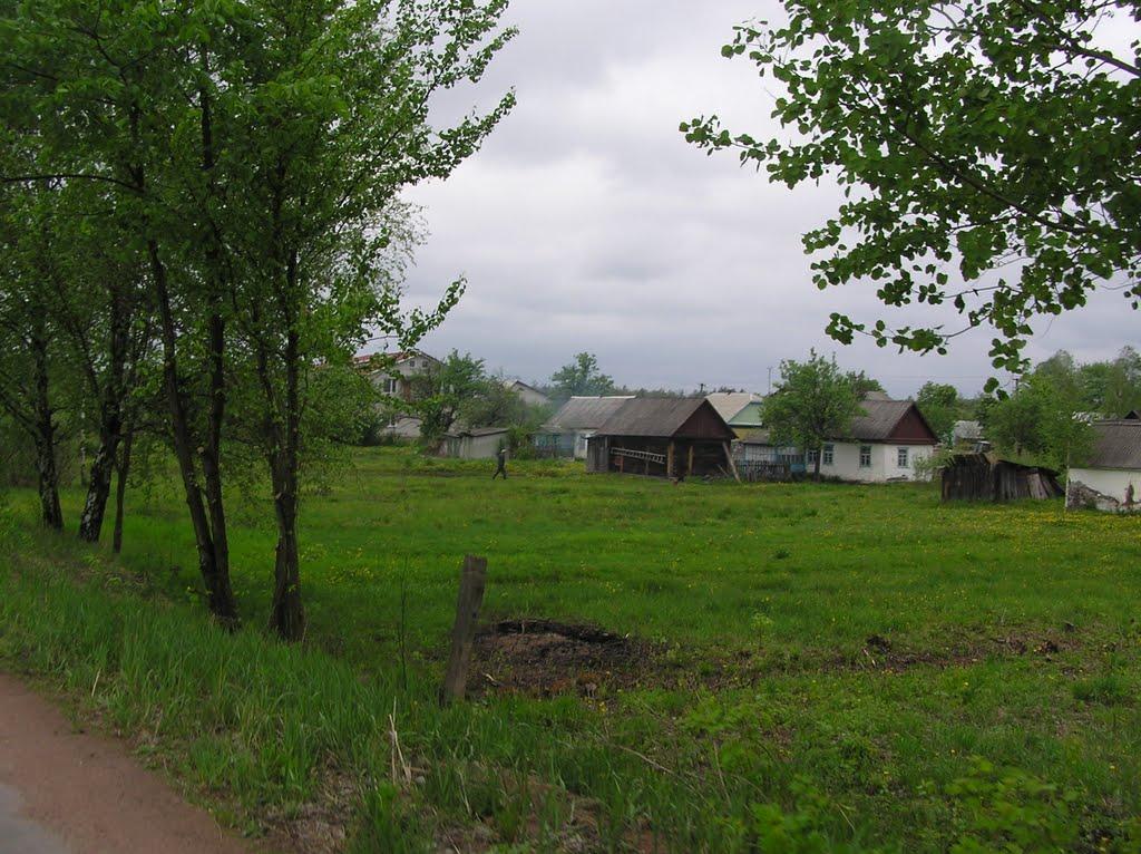 Горщик з panoramio.com - Горщик