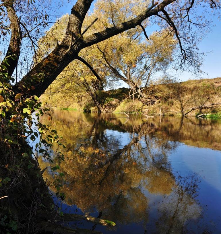 Стриганка з panoramio.com - Стриганка
