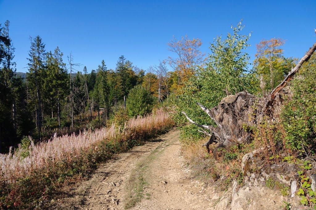 Ужок з panoramio.com - Uzhok