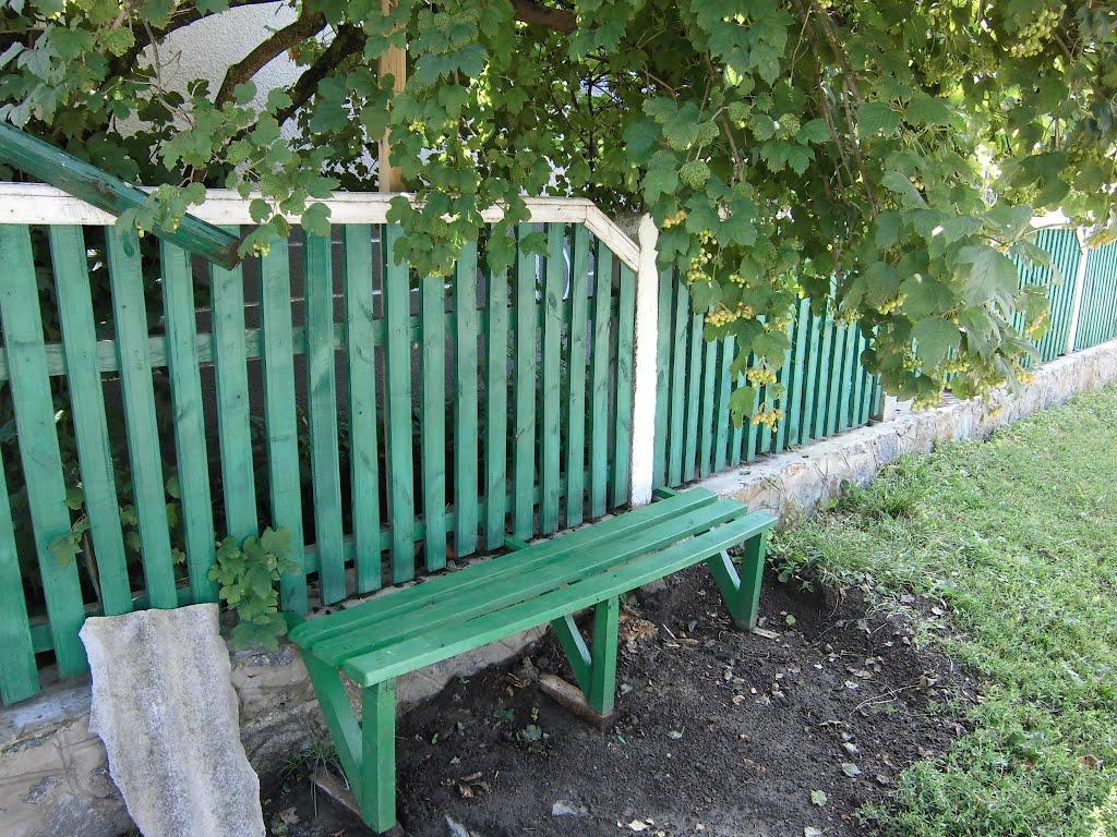 Ганнусине з panoramio.com - Ганнусине