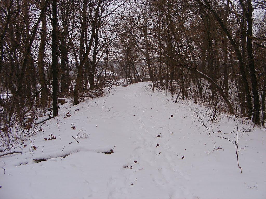 Шишаки з panoramio.com - Shishaki