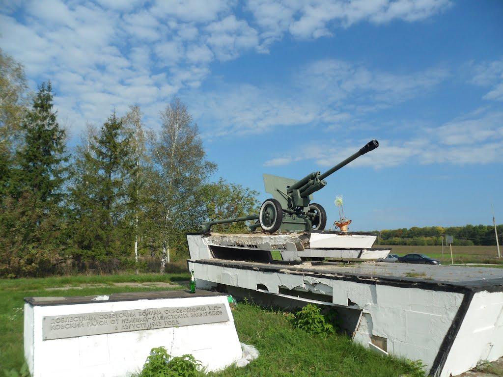 Нова Березівка з panoramio.com - Нова Березівка