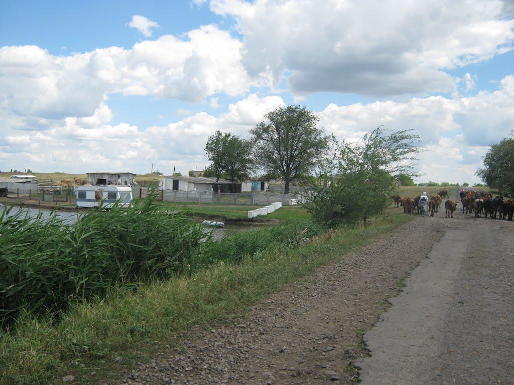 Нововітебське з panoramio.com - Нововитебское