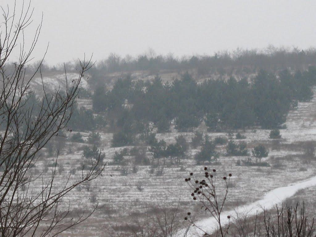 Олександрівка з panoramio.com - Олександрівка