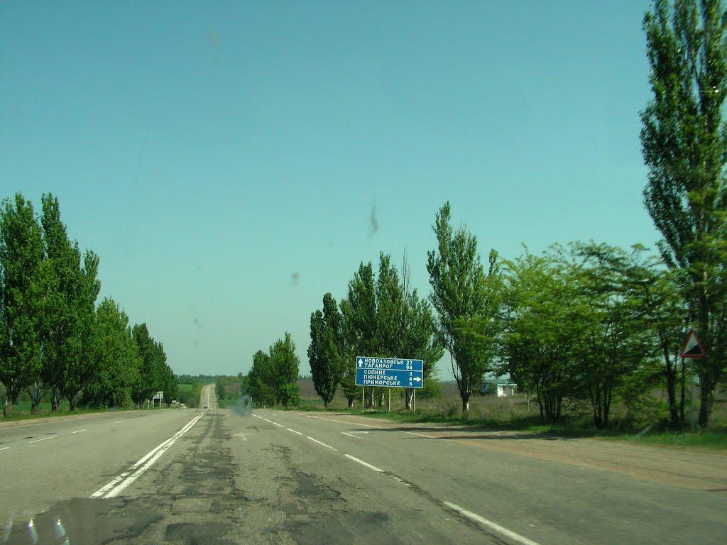 Лебединське з panoramio.com - Lebedynske