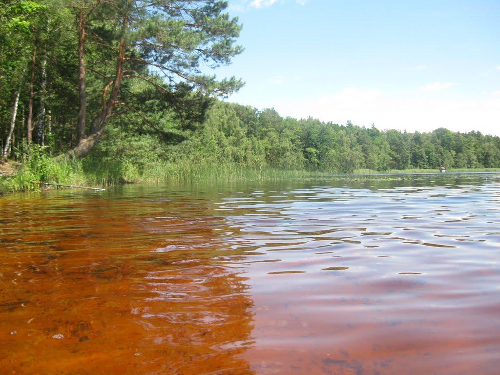 Острівськ з panoramio.com - Островск