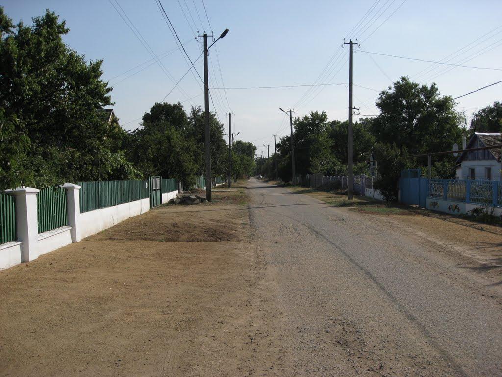 Петрівка з panoramio.com - Петрівка