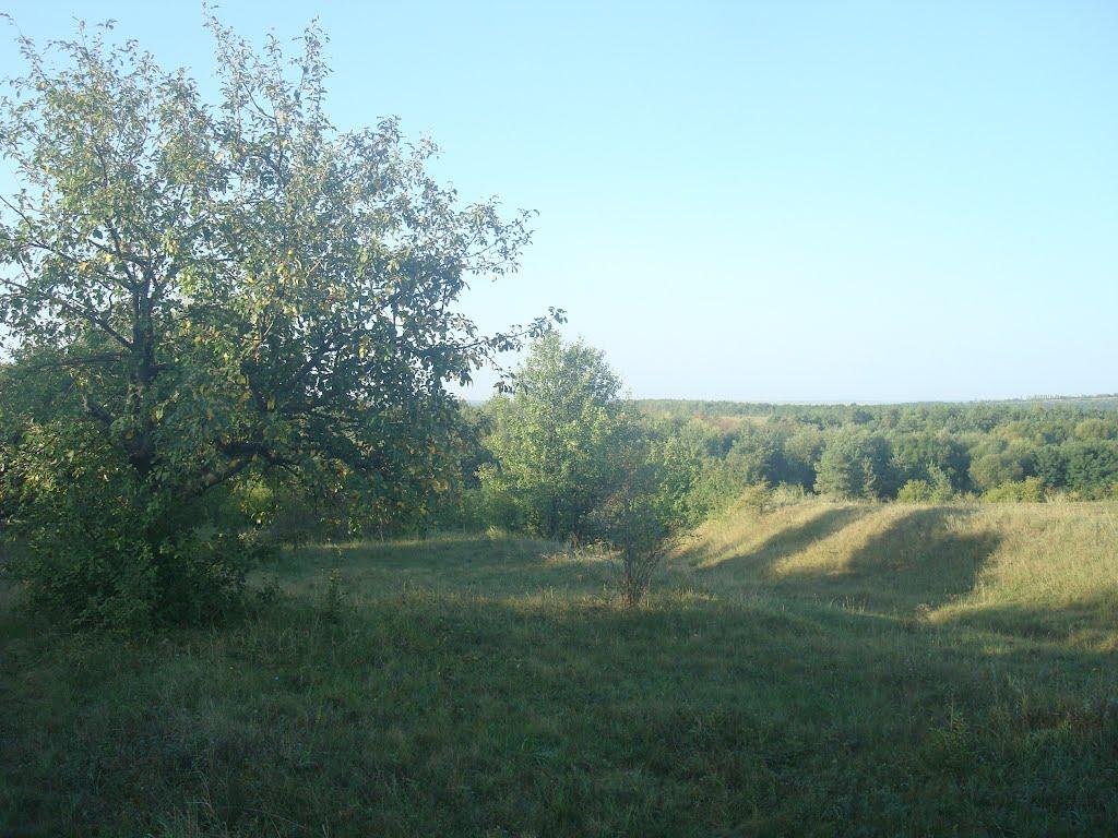Рудківці з panoramio.com - Рудківці